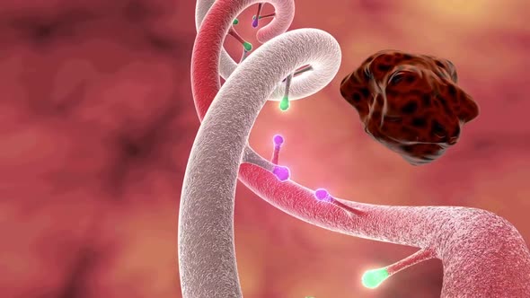 dna mutation.mov alt