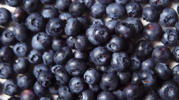 A Lot of Washed Ripe Blueberries in Rotation