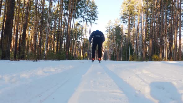 Male Athletic Skier Skiing Alone Through Winter Snow Forest in Ski Suit with Ski Poles on Sunny