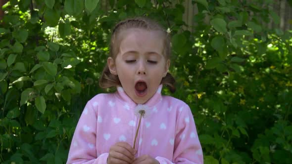 A Little Girl Blows a Dandelion in Nature