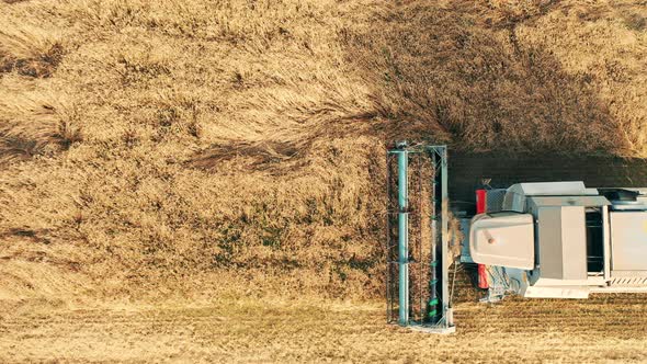 Reaping Machine Is Cutting Rye While Riding Along the Field in a Top View