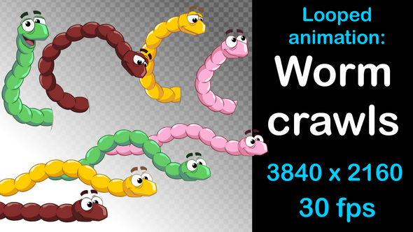 Cartoon worm