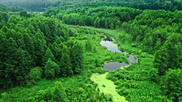 Aerial view of river and green algae in summer.
