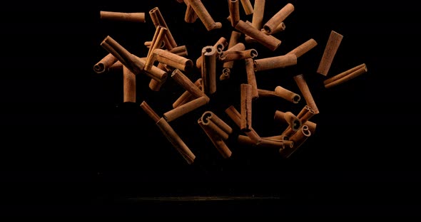 Cinnamon sticks, cinnamomum zeylanicum, spice falling against Black Background, Slow Motion 4K