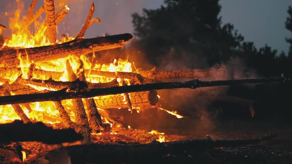 Big Campfire of the Logs Burns at Night in the Forest. Slow Motion in 180 Fps