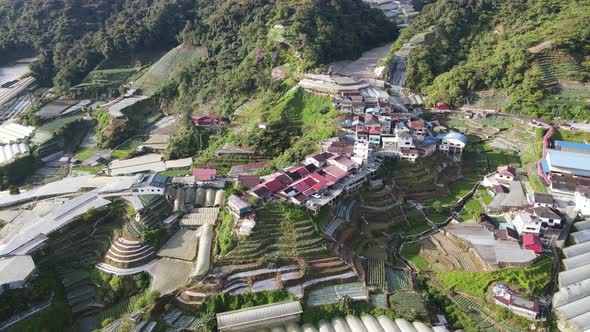 Cameron Highlands, Pahang Malaysia