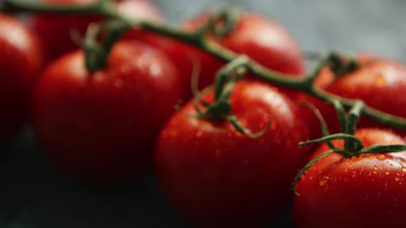 Ripe Red Cherry Tomatoes on Branch