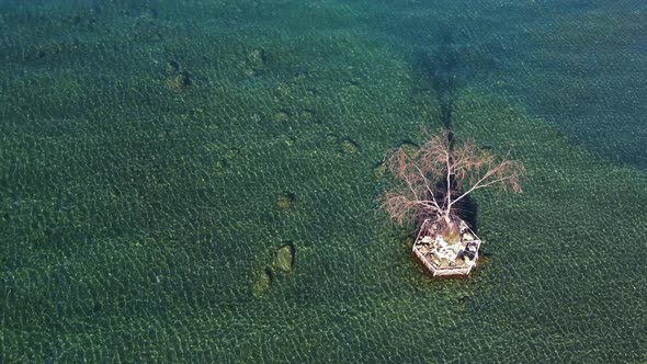 Drone view of a tree in the middle of the lake.