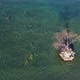 Drone view of a tree in the middle of the lake. - VideoHive Item for Sale