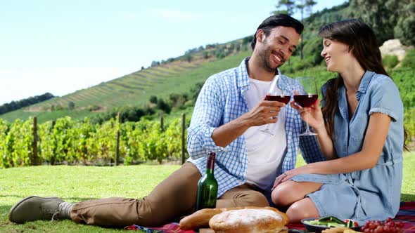 Couple toasting wine glasses in the farm