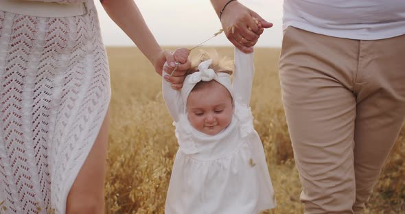 Loving Parents Hold The Child's Hands And Teach Him To Walk