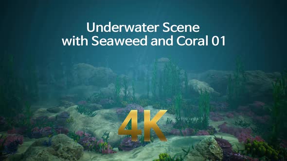 Underwater Scene with Seaweed and Coral 01