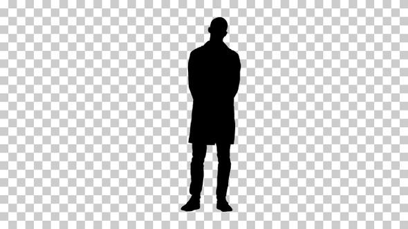 Silhouette doctor standing, Alpha Channel