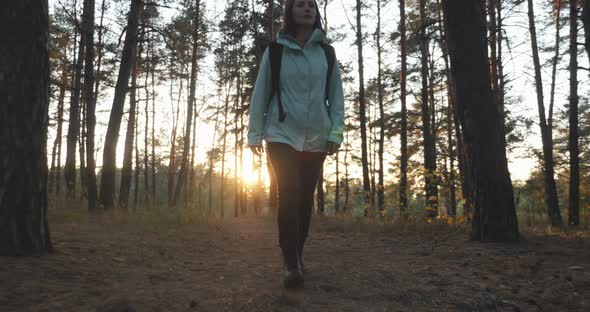 Young brunette woman traveler with big tourist backpack walking in autumn pine wood at sunset.