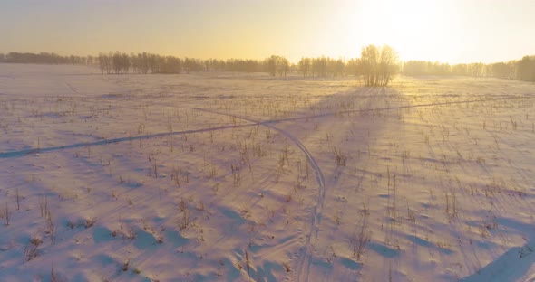 Aerial Drone View of Cold Winter Landscape with Arctic Field Trees Covered with Frost Snow and