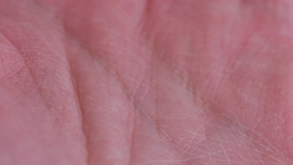 Human palm with life line - close up view.