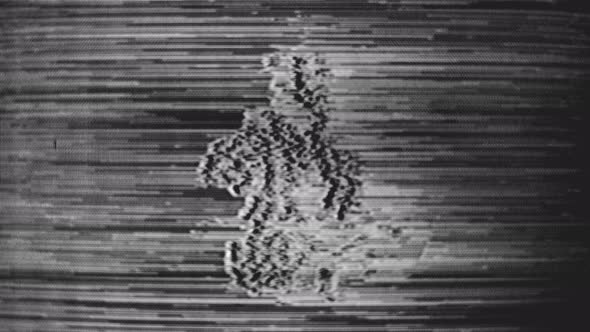 Video signal damage with tv noise and old screen interference