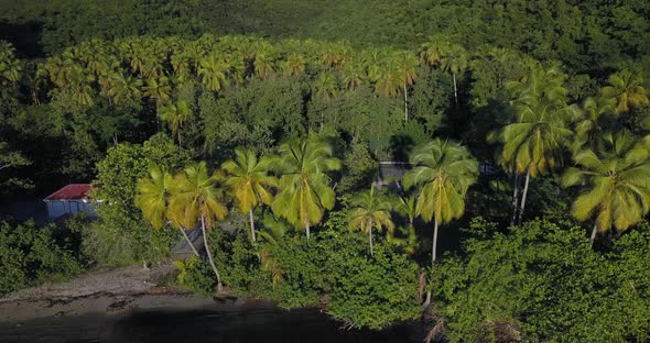 Green Lagoon In Guadeloupe