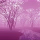 Sakura Blossom Garden Background 3d Render - VideoHive Item for Sale
