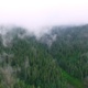 Aerial drone flight over mountain lake in pine forest in clouds - VideoHive Item for Sale