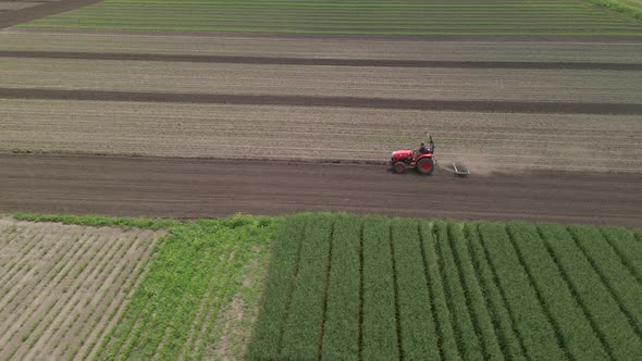 Agricultural Red Small Tractor in the Field Plowing Works in the Field