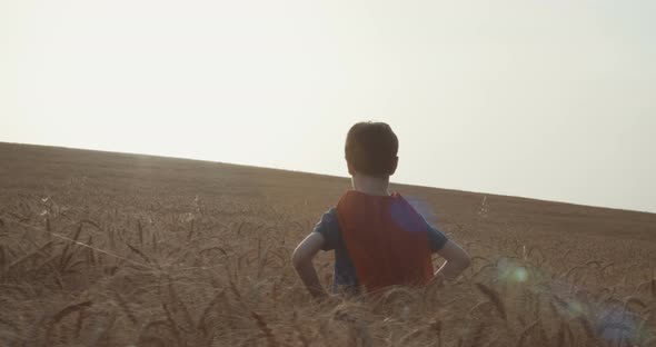 Young boy with a superhero cape stands in a golden field during sunset - raising hands in victory