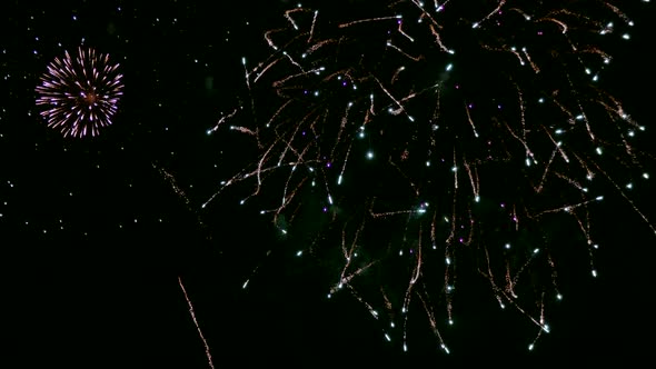 Colorful Firework display at night on sky background