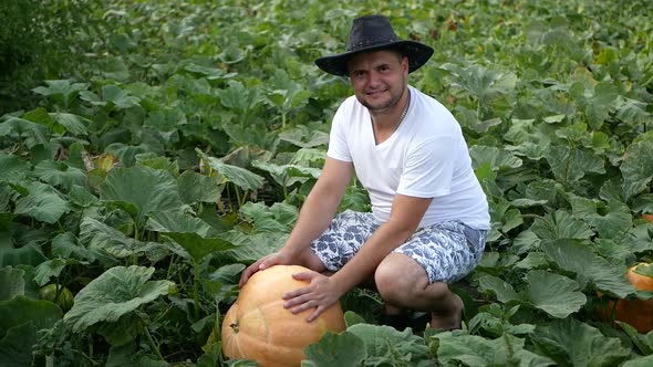 A farmer photographs a harvest of pumpkin in his field, a large pumpkin