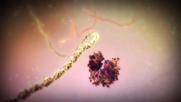 dna processing 8471.mov alt