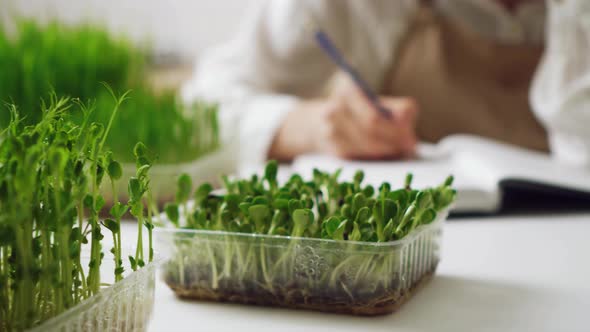 Girl Blogger On Healthy Eating. Young Female Gardener Writes Against Background Of Plant Sprouts