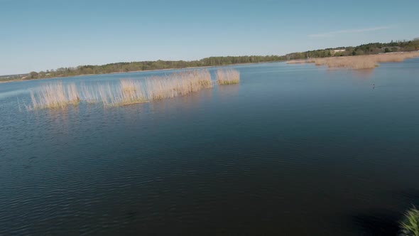 Fast and Maneuverable Flight Over the Lake with Reeds