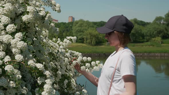 Young Woman Bends Over Kiftsgate Rose Bush Smells Aroma of Flowers Summer Sun