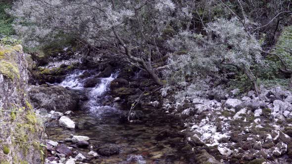 Rapids in the White Drin River Spring Flowing in Zljeb Forest Kosovo