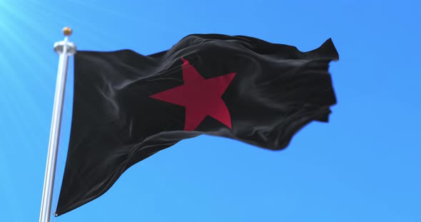 Zapatista Flag