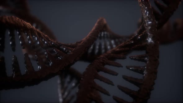 Double Helical Structure of Dna Strand Close-up 