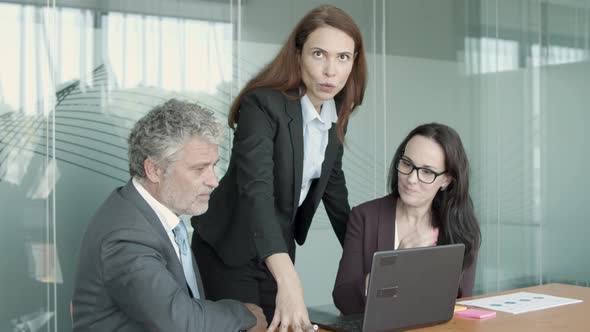 Young Serious Businesswoman Gesturing and Explaining Project