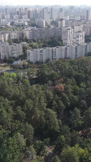 Aerial View of the Border of the Metropolis and the Forest