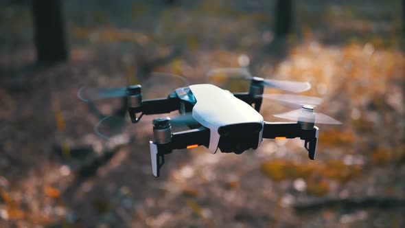 Drone with a Camera Hovers in the Air Above the Ground in the Forest. Slow Motion