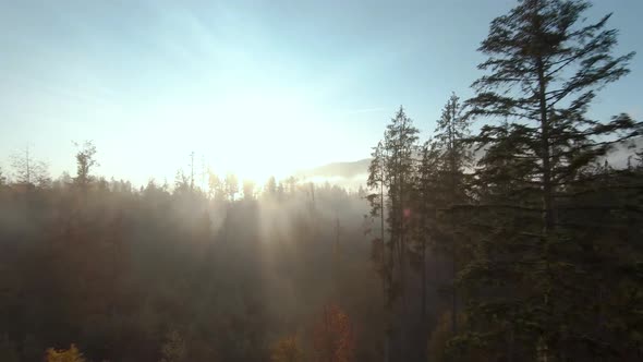 Mystical Autumn Mountain Landscape