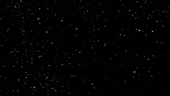 Super Slow Motion Shot of Real Snowfall Isolated on Black Background at 1000 Fps