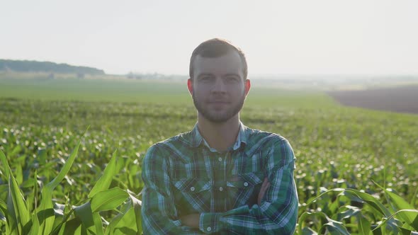 A Young Farmer Agronomist with a Beard Stands in a Field of Corn Under a Clear Blue Sky