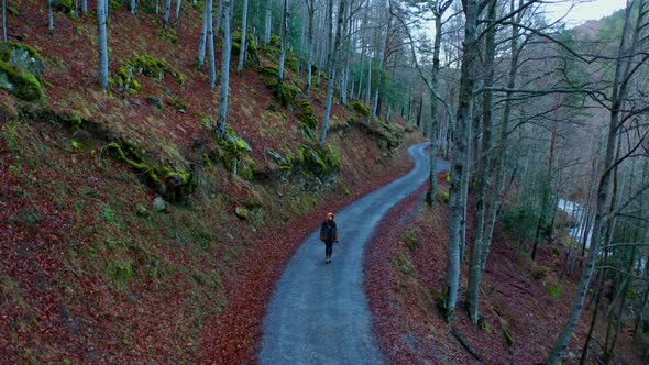 Anonymous traveler walking in forest