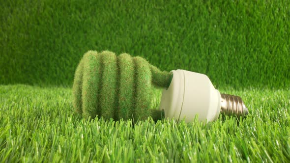 Eco Light Bulb in Green Grass
