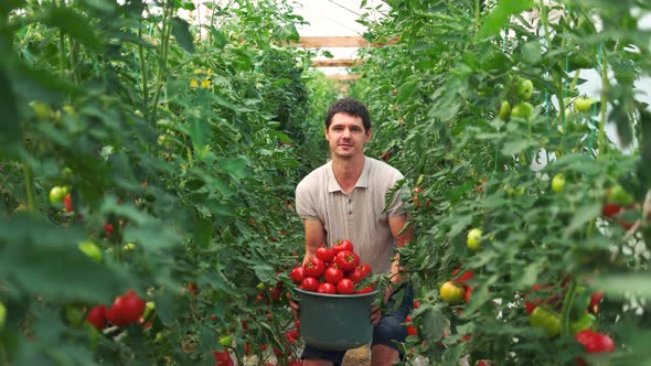 Smiling Farmer Holding Bucket Full of Ripe Tomatoes