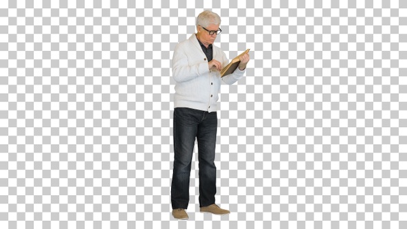 Focused stylish old man reading a book, Alpha Channel