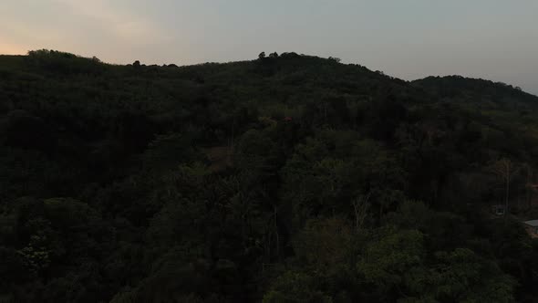 Drone Flight Over the Jungle and Sea City After Sunset