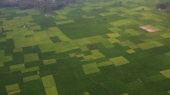 Aerial View of Cultivated field, Shibchar, Dhaka, Bangladesh.