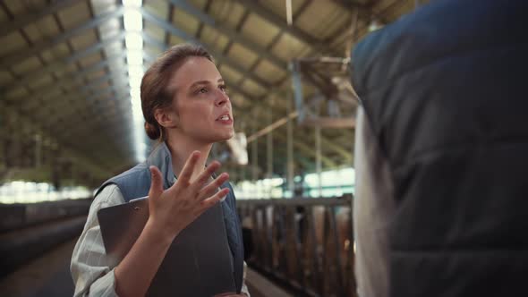 Farm Manager Talking Cowshed with Colleague