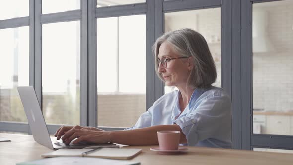 Older Mature Middle Aged Woman Using Laptop Computer Sitting at Workplace
