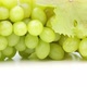 Green Grapes Rotating on White Close - VideoHive Item for Sale